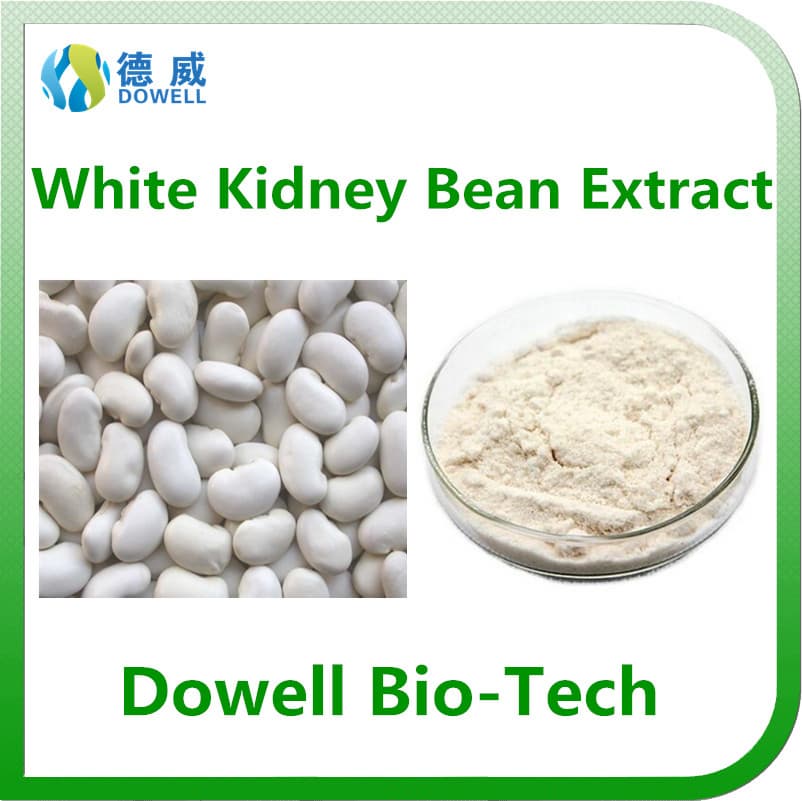 100_ Pure Natural White Kidney Bean Extract Powder phaseolin 1_ 2_ For losing weight